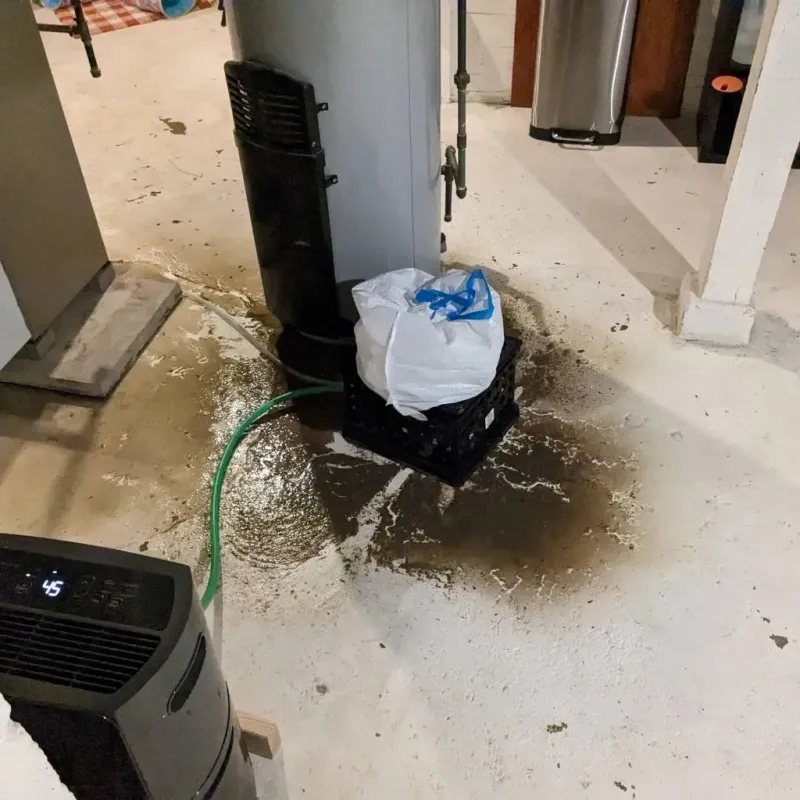 Sewage Backup Cleanup Service in Sarcoxie, MO